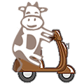 cow moto